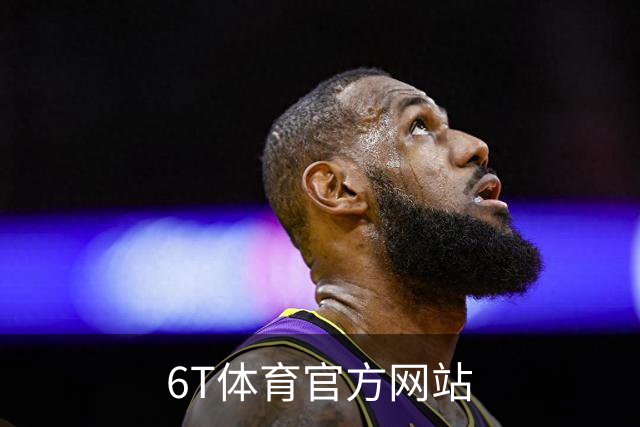 6T体育官方网站公司简介